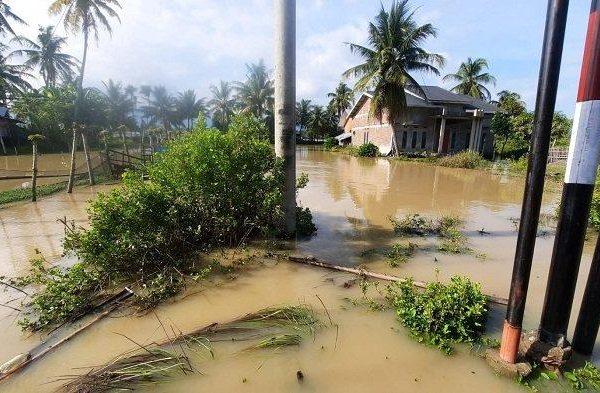 Ternak jangkrik di Simpang Mamplam Bireuen