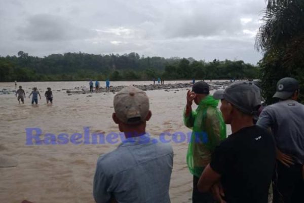 Budidaya Maggot