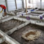 Budidaya maggot pemula di Labuhan Haji Timur Aceh Selatan