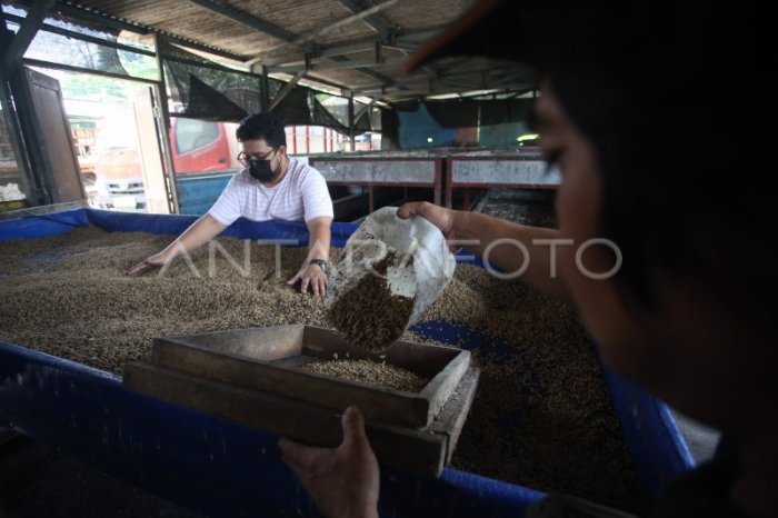 Ternak maggot di Ulu Manna, Bengkulu Selatan