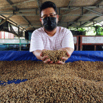 Ternak maggot di Selagan Raya, Muko Muko