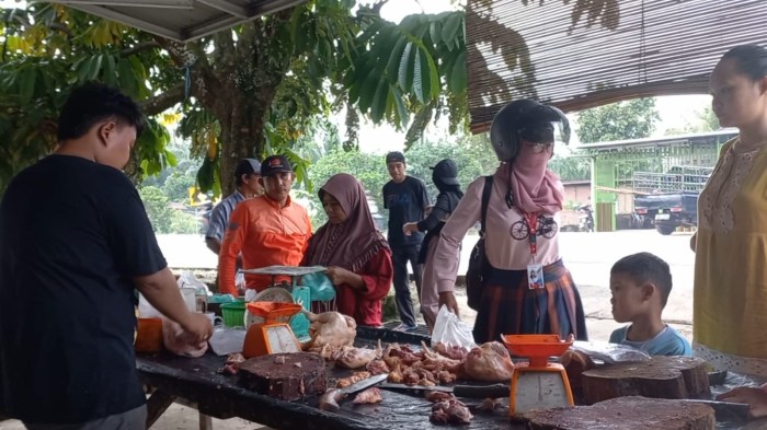 Bau Limbah CPO PT SSL Dikeluhkan, Peternak Ayam di Seluma Merugi - dclick