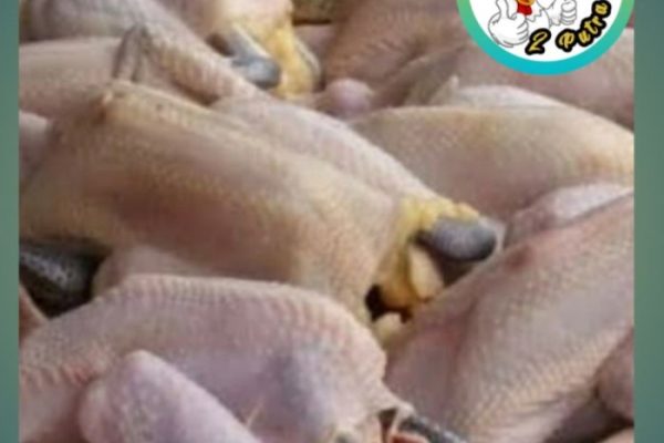 Harga ayam kampung di Baitussalam Aceh Besar