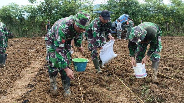 ️ Ketahui 10 Tips Ternak Jangkrik: Memulai Bisnis Ternak yang ... Ternak jangkrik di Pasie Raja, Aceh Selatan