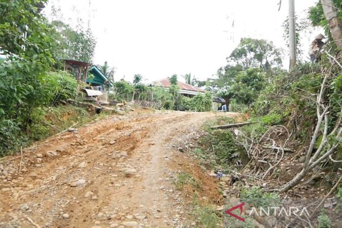 Harga ayam potong di Bengkulu Rp28 ribu per kilogram - ANTARA News Bengkulu Ayam arab di Ulok Kupai, Bengkulu Utara
