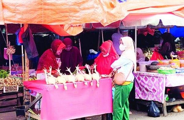 Ayam arab di Bunga Mas, Bengkulu Selatan
