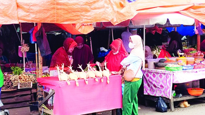 √ Informasi Lengkap Mengenai Ayam Arab | HOBI TERNAK Ayam arab di Bunga Mas, Bengkulu Selatan