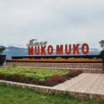 Mengembangkan Usaha Ternak Ayam Arab: Panduan Untuk Pemula (Part 2 ...