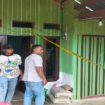 Ayam bangkok bengkulu selatan-kaur | Bengkulu