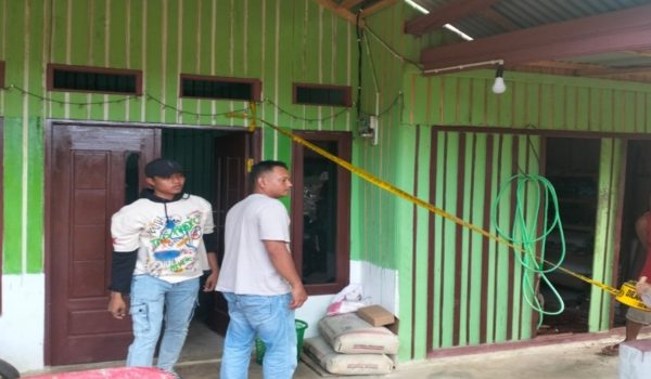 Ayam bangkok bengkulu selatan-kaur | Bengkulu