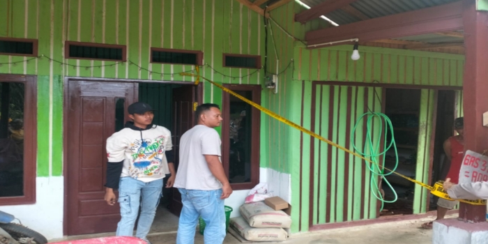 Ayam bangkok bengkulu selatan-kaur | Bengkulu Ayam bangkok bengkulu selatan-kaur | Bengkulu