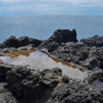 Ternak jangkrik di Tapak Tuan, Aceh Selatan