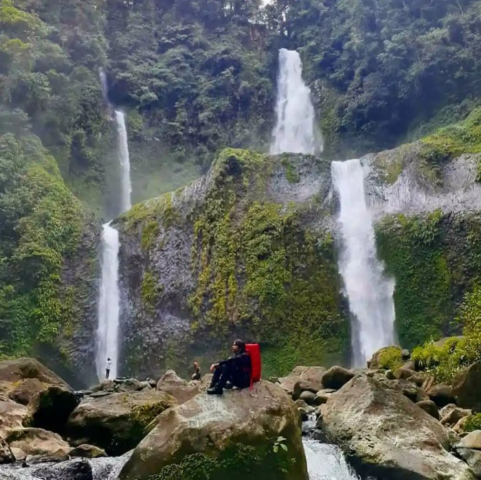 Ayam arab di Air Padang, Bengkulu Utara