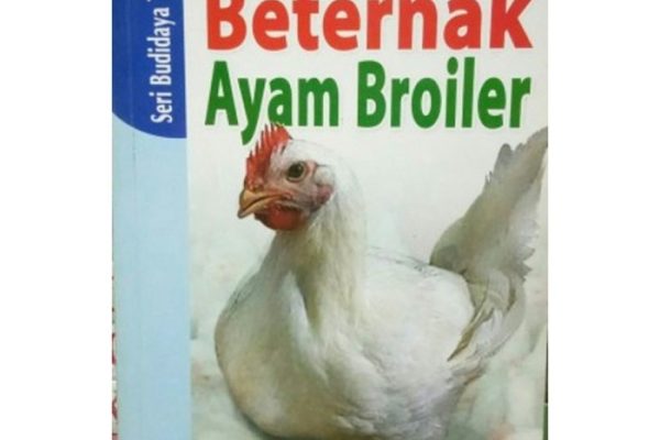 Jual Pedoman Budidaya Beternak Ayam Broiler | Shopee Indonesia