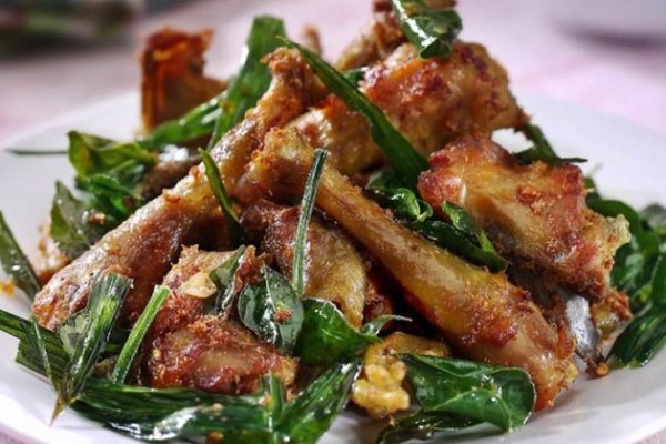 √ Informasi Lengkap Mengenai Ayam Arab | HOBI TERNAK