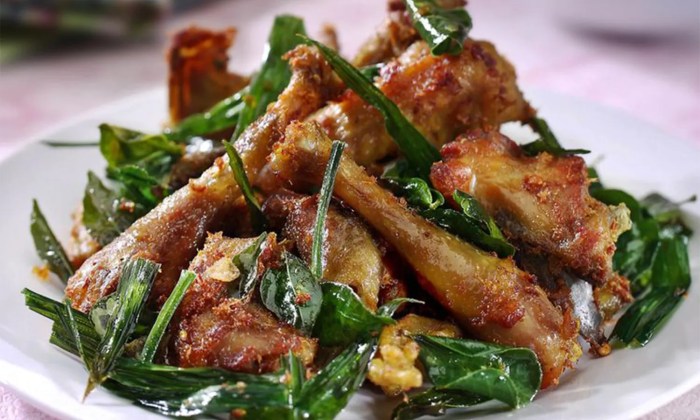 √ Informasi Lengkap Mengenai Ayam Arab | HOBI TERNAK √ Informasi Lengkap Mengenai Ayam Arab | HOBI TERNAK