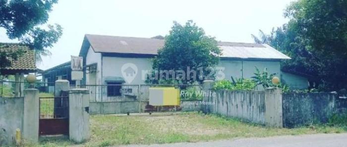 Hari ini, Pelantikan PCNU Lampung Tengah Masa Khidmat 2022-2027 di ... Ayam arab di Terusan Nunyai, Lampung Tengah