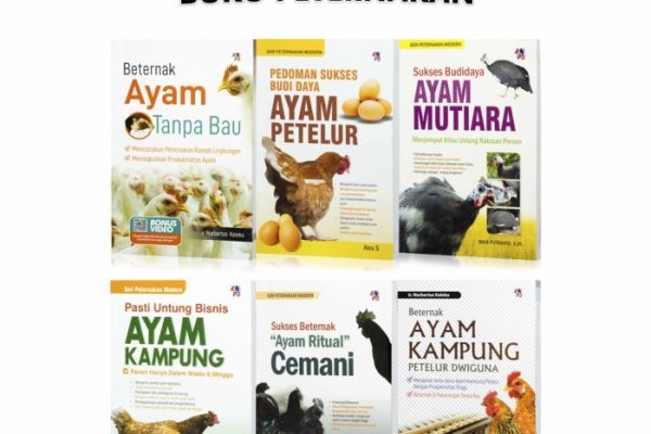 Peternakan ayam kampung di Mutiara, Pidie