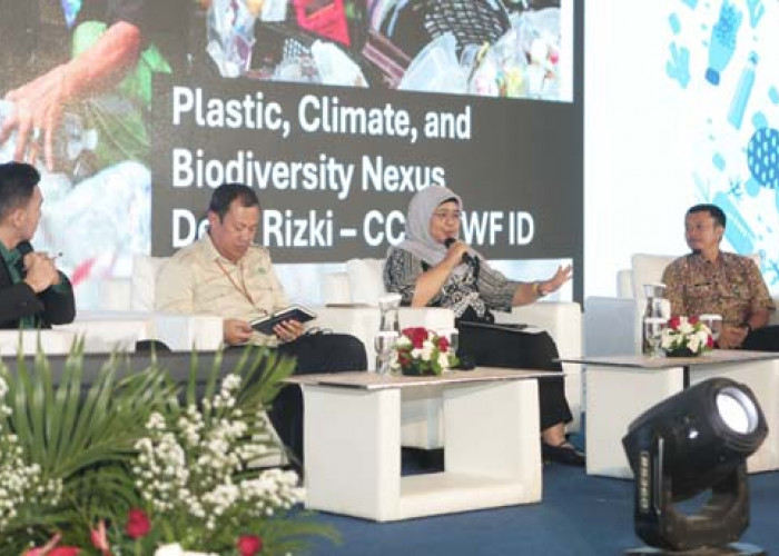 BREAKING NEWS: Beruang Madu Teror Warga di Seluma, Kandang Ayam dan ...