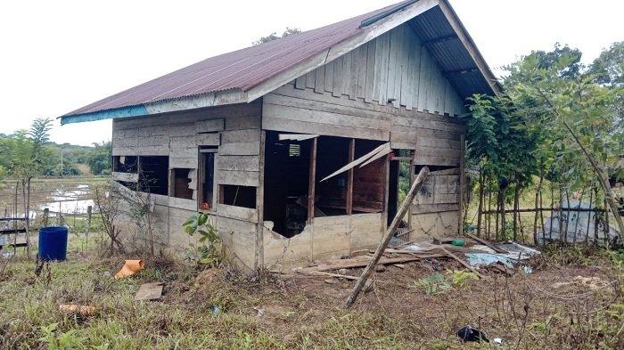 Socfindo Sebut 5 Keuchik di Seunagan Nagan Raya Tarik Diri Atas ... Ternak jangkrik di Seunagan Timur, Nagan Raya