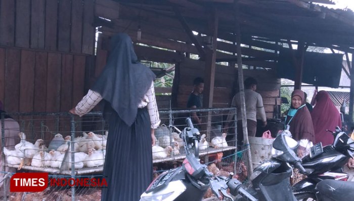 Harga Ayam Broiler di Abdya Aceh Naik 5 Ribu Jelang Ramadan - TIMES ... Harga Ayam Broiler di Abdya Aceh Naik 5 Ribu Jelang Ramadan - TIMES ...