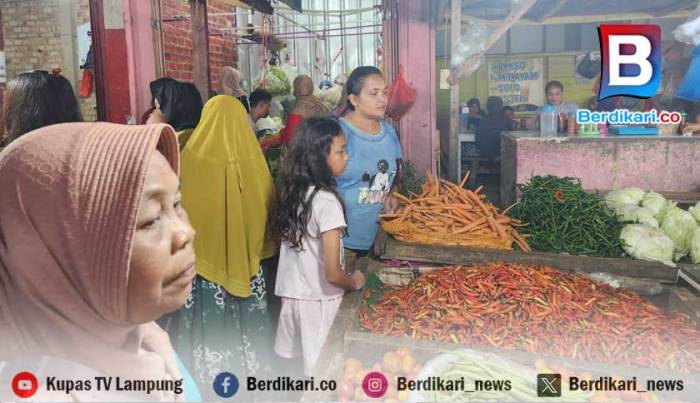 Alun - alun Simpang Pematang (Mesuji-Lampung) - YouTube Ayam arab di Simpang Pematang, Mesuji