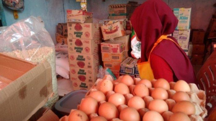 Ayam merah petelur di Ngambur, Pesisir Barat