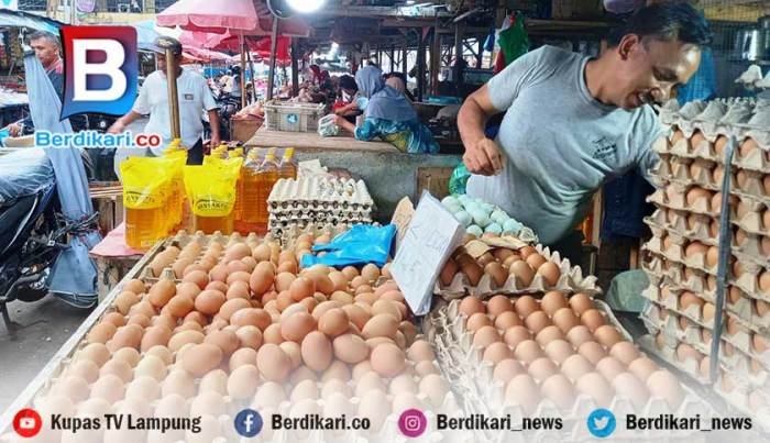 Jelang Ramadhan, Harga Telur Ayam di Bandar Lampung Tembus Rp29 Ribu