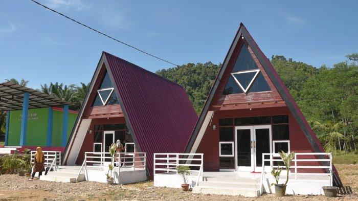 Peternakan ayam kampung di Tenggulun, Aceh Tamiang