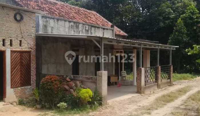 √ Informasi Lengkap Mengenai Ayam Arab - hobiternak.com √ Informasi Lengkap Mengenai Ayam Arab - hobiternak.com