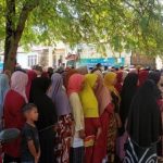 Ternak jangkrik di Peusangan Selatan Bireuen