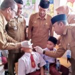 Ternak jangkrik di Panteraja, Pidie Jaya