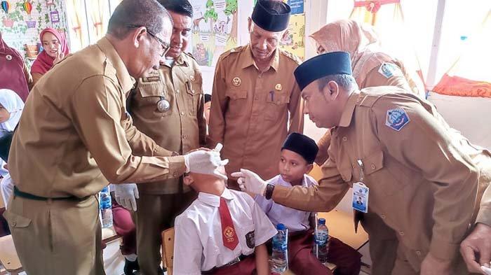 Cara Beternak Jangkrik Kalung: Budidaya Ternak Jangkrik Ternak jangkrik di Panteraja, Pidie Jaya