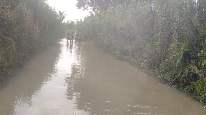 Ternak jangkrik di Rundeng, Kota Subulussalam