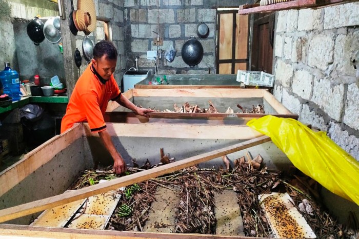 The title of your publicationDistributor Flimty Diet di Sukajaya Kota ... Ternak jangkrik di Sukajaya, Kota Sabang