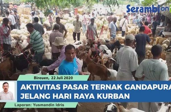 Ternak jangkrik di Gandapura, Bireuen