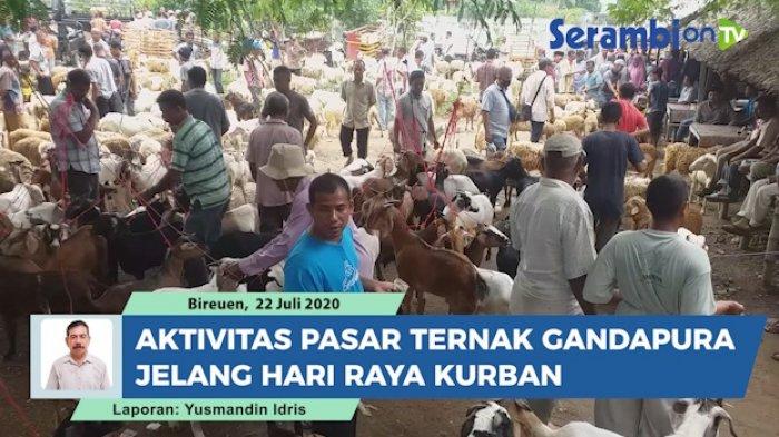 Ternak jangkrik di Gandapura, Bireuen