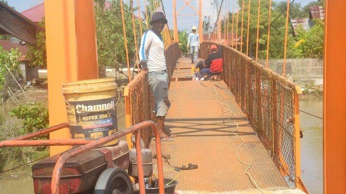 Ide Bisnis Ternak Jangkrik | Konsultan Bisnis Satoeasa Ternak jangkrik di Kembang Tanjong, Pidie