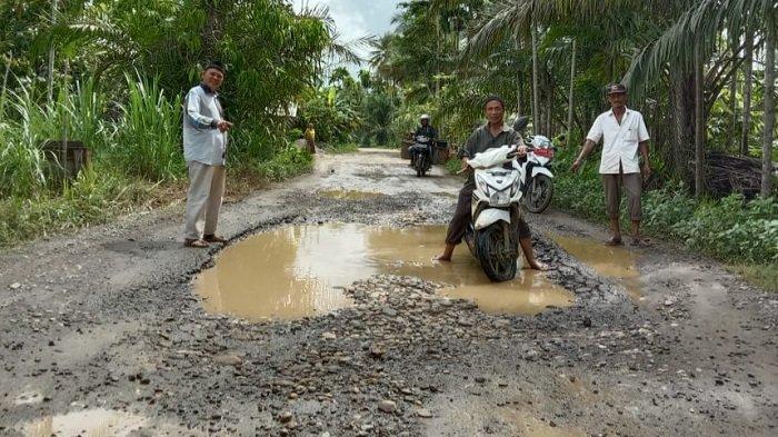Ternak jangkrik di Peusangan Siblah Krueng Bireuen