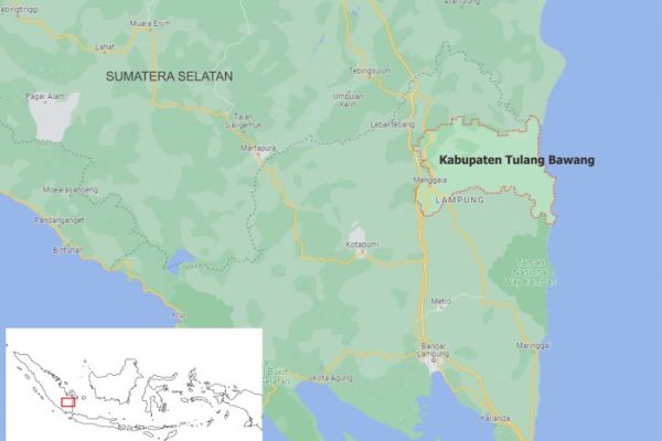 Ayam arab di Gedung Aji Baru, Tulang Bawang