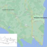 Info Lengkap Mengenai Ayam Arab - HOBI TERNAK