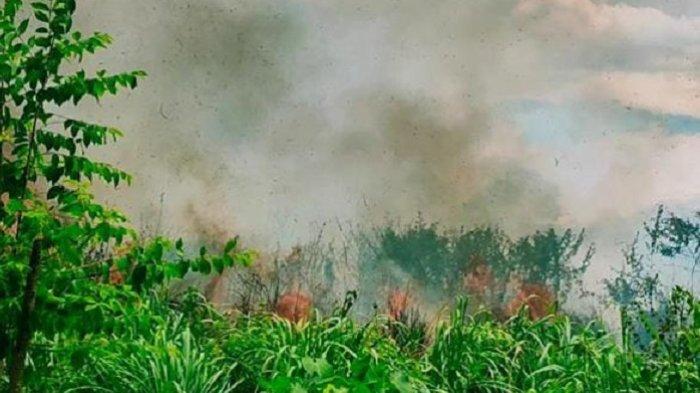 Bikin Panik! 2 Hektare Lahan Dekat Rumah Warga di Lembah Seulawah ...