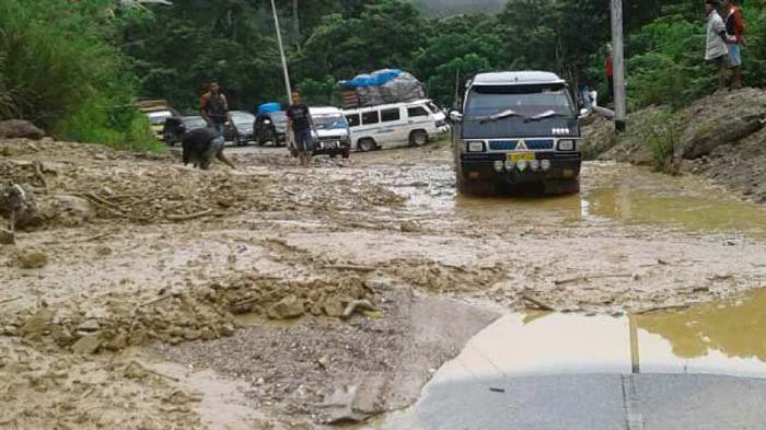 D. tamu saman gayo dari desa meloak I, kec. putri Betung, kab. Gayo ... Ternak jangkrik di Putri Betung, Gayo Lues