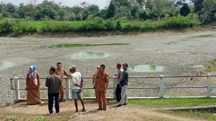 Respons Laporan Warga, DLH Aceh Besar Potong Dahan Pohon Retak di Kuta ... Ternak di Kuta Cot Glie Aceh Besar