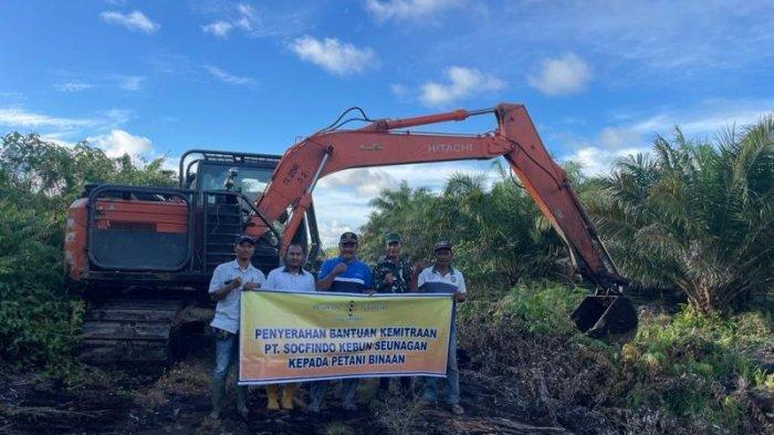 Perambahan terang-terangan, 363 hektar hutan produksi rusak parah di ... Perambahan terang-terangan, 363 hektar hutan produksi rusak parah di ...