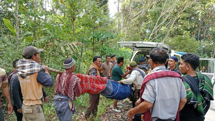 PETERNAKAN AYAM KAMPUNG DI PEGUNUNGAN | TOTAL AYAM SEBANYAK KURANG ...