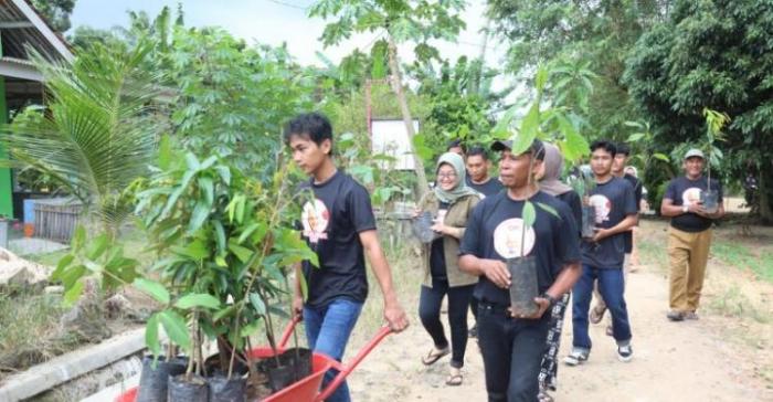 Jual AYAM ARAB - AYAM KAMPUNG ARAB - DOC AYAM KAMPUNG PEDAGING ARAB ...