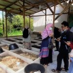 Dosen Biologi Unand: Maggot Punya Banyak Manfaat Terhadap Usaha Peternakan