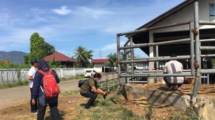 Ternak jangkrik di Lhoknga, Aceh Besar