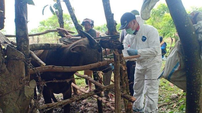 Pj Bupati Sidak Pupuk Subsidi di Kios, Ini Jumlah Kuota Urea dan NPK ... Pj Bupati Sidak Pupuk Subsidi di Kios, Ini Jumlah Kuota Urea dan NPK ...